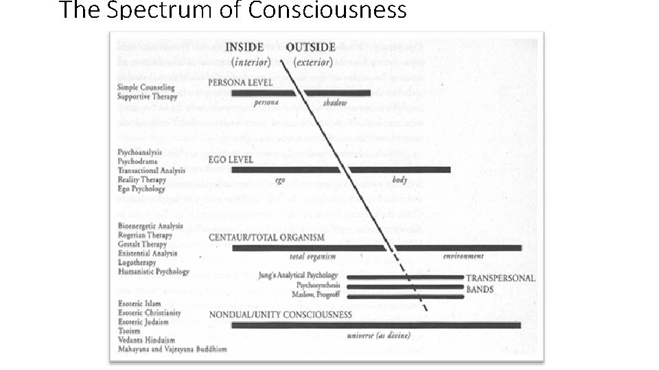 The Spectrum of Consciousness 