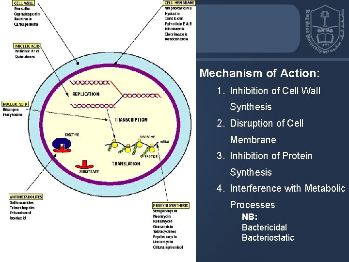 Mechanism of Action: 1. Inhibition of Cell Wall Synthesis 2. Disruption of Cell Membrane