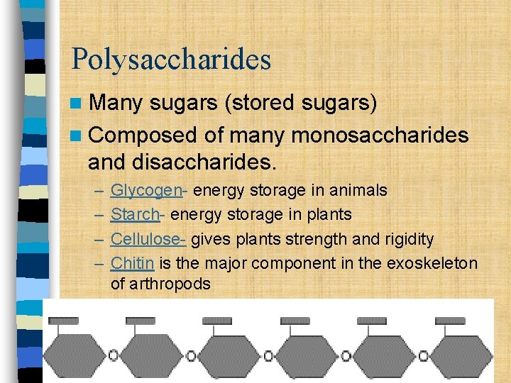 Polysaccharides n Many sugars (stored sugars) n Composed of many monosaccharides and disaccharides. –