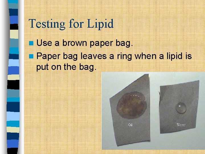 Testing for Lipid n Use a brown paper bag. n Paper bag leaves a