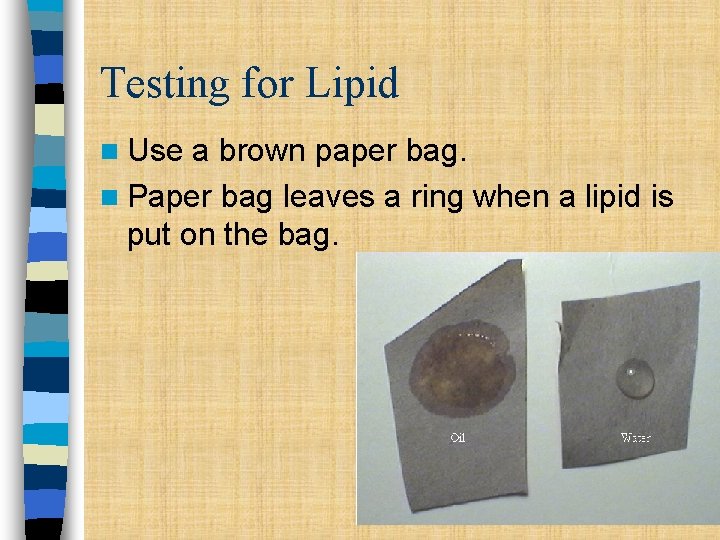 Testing for Lipid n Use a brown paper bag. n Paper bag leaves a Testing for Lipid n Use a brown paper bag. n Paper bag leaves a