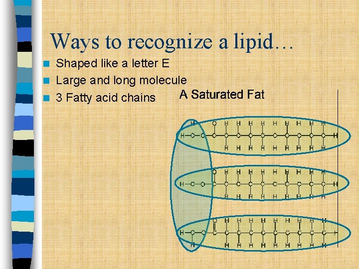Ways to recognize a lipid… Shaped like a letter E n Large and long