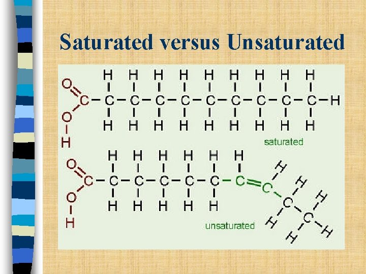 Saturated versus Unsaturated Saturated versus Unsaturated