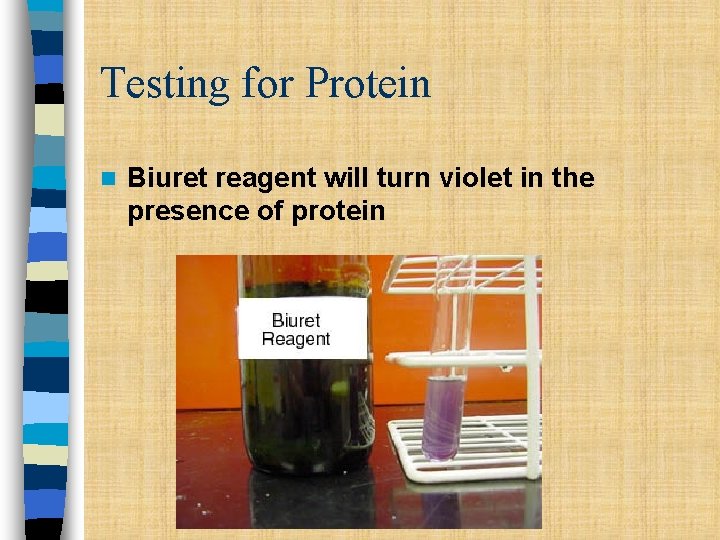 Testing for Protein n Biuret reagent will turn violet in the presence of protein Testing for Protein n Biuret reagent will turn violet in the presence of protein