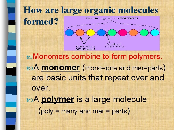 How are large organic molecules formed? Monomers A combine to form polymers. monomer (mono=one