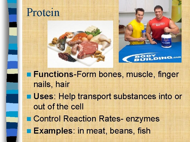 Protein n Functions-Form bones, muscle, finger nails, hair n Uses: Help transport substances into Protein n Functions-Form bones, muscle, finger nails, hair n Uses: Help transport substances into