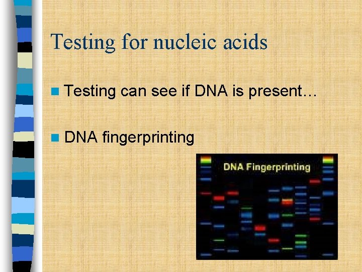 Testing for nucleic acids n Testing n DNA can see if DNA is present…