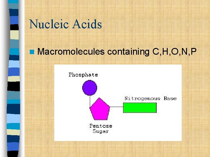 Nucleic Acids n Macromolecules containing C, H, O, N, P 