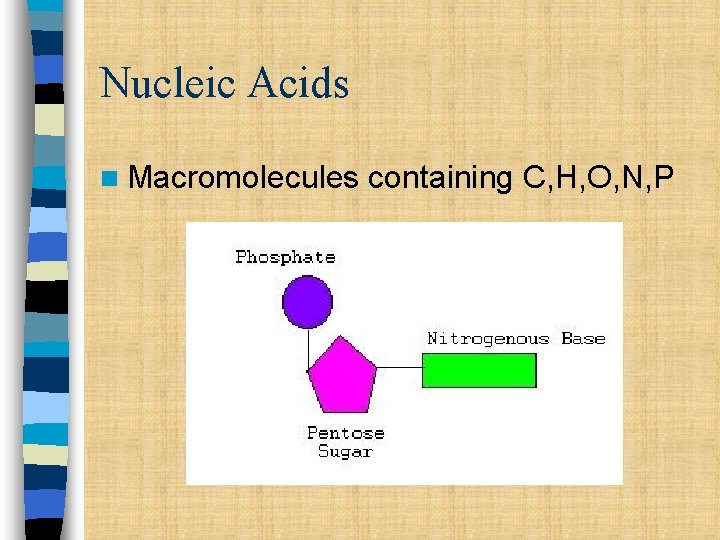 Nucleic Acids n Macromolecules containing C, H, O, N, P Nucleic Acids n Macromolecules containing C, H, O, N, P