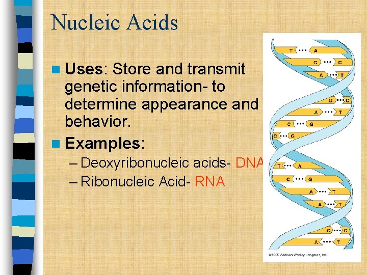 Nucleic Acids n Uses: Store and transmit genetic information- to determine appearance and behavior.