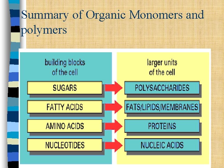 Summary of Organic Monomers and polymers Summary of Organic Monomers and polymers