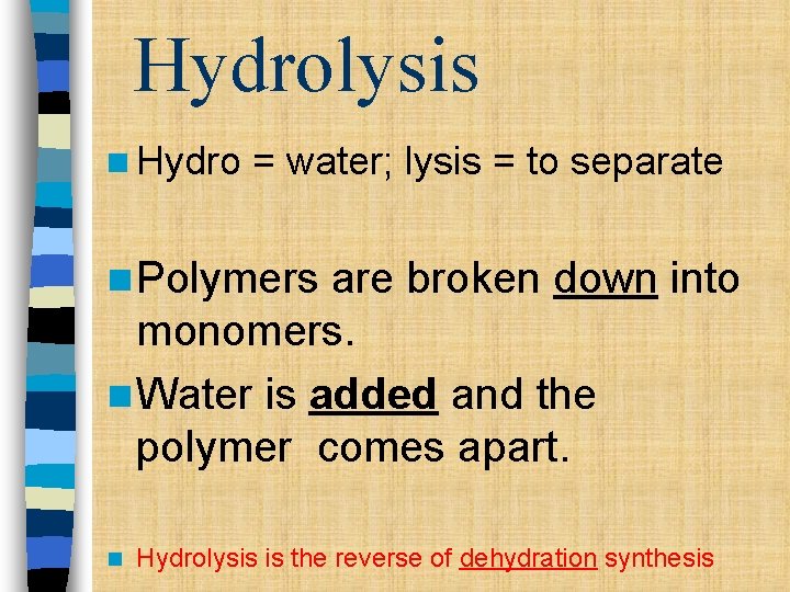 Hydrolysis n Hydro = water; lysis = to separate n Polymers are broken down