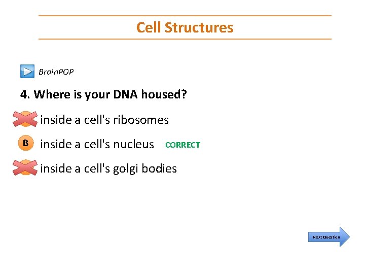 Cell Structures Brain. POP 4. Where is your DNA housed? A inside a cell's