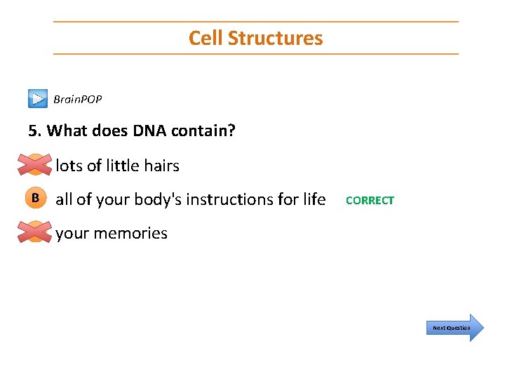 Cell Structures Brain. POP 5. What does DNA contain? A lots of little hairs