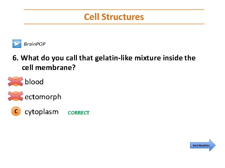 Cell Structures Brain. POP 6. What do you call that gelatin-like mixture inside the