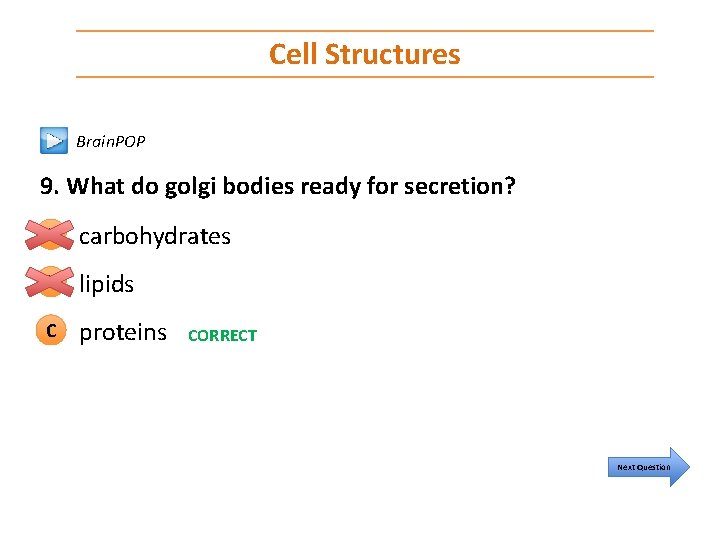 Cell Structures Brain. POP 9. What do golgi bodies ready for secretion? A carbohydrates