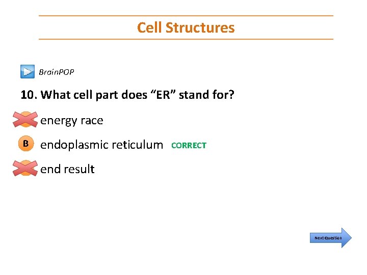 Cell Structures Brain. POP 10. What cell part does “ER” stand for? A energy