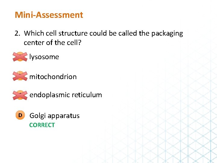 Mini-Assessment 2. Which cell structure could be called the packaging center of the cell?