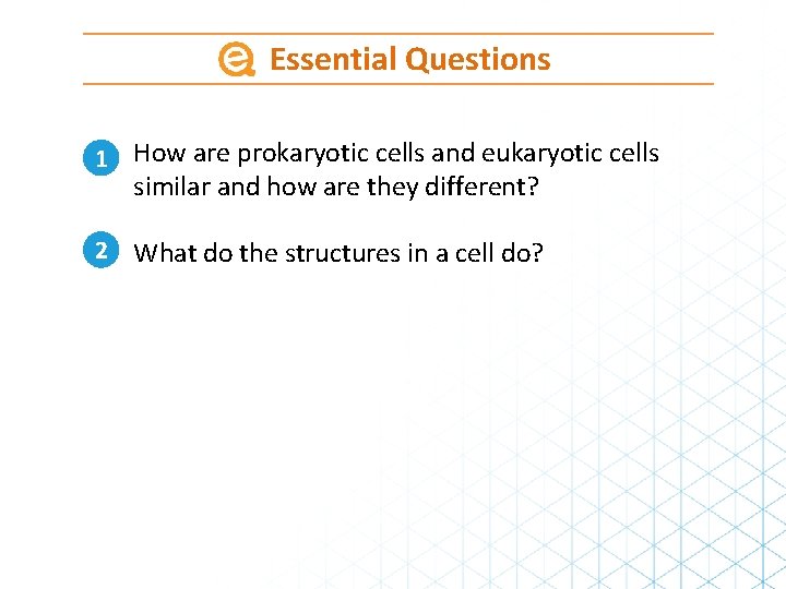 Essential Questions 1 How are prokaryotic cells and eukaryotic cells similar and how are