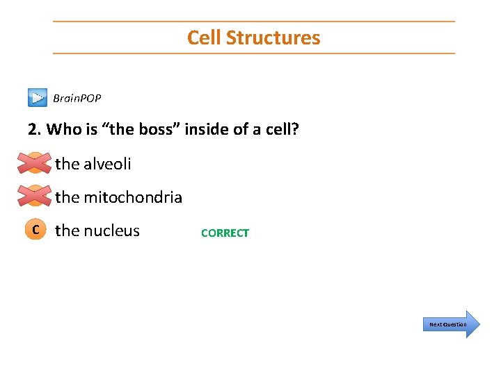 Cell Structures Brain. POP 2. Who is “the boss” inside of a cell? A
