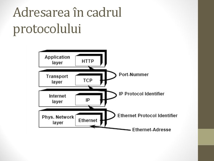 Adresarea în cadrul protocolului 