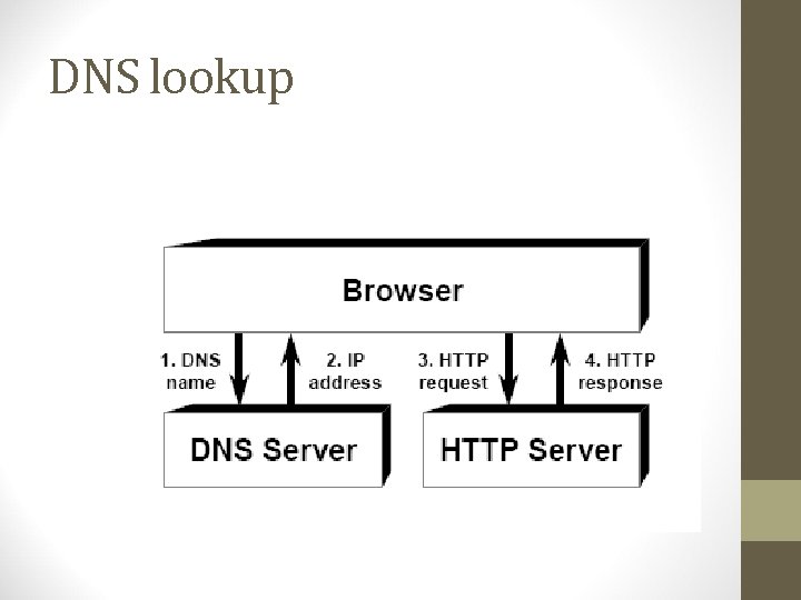 DNS lookup 