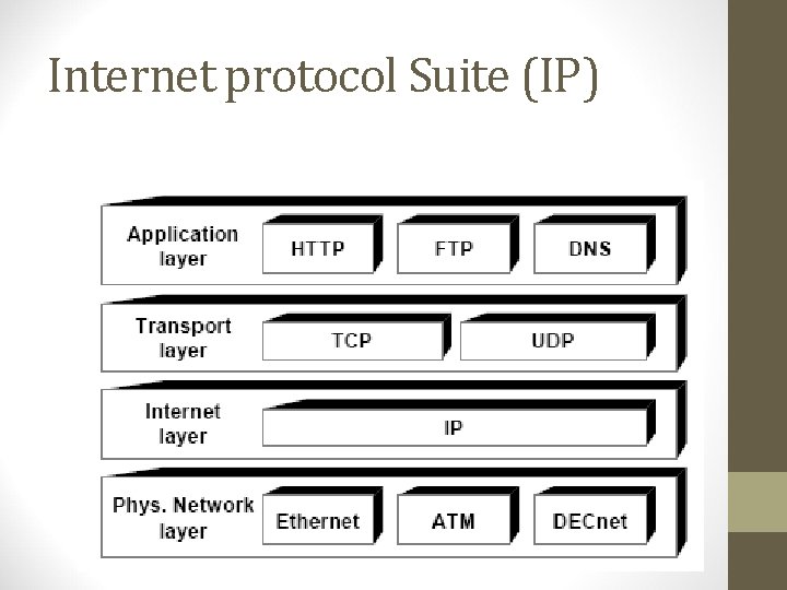 Internet protocol Suite (IP) 