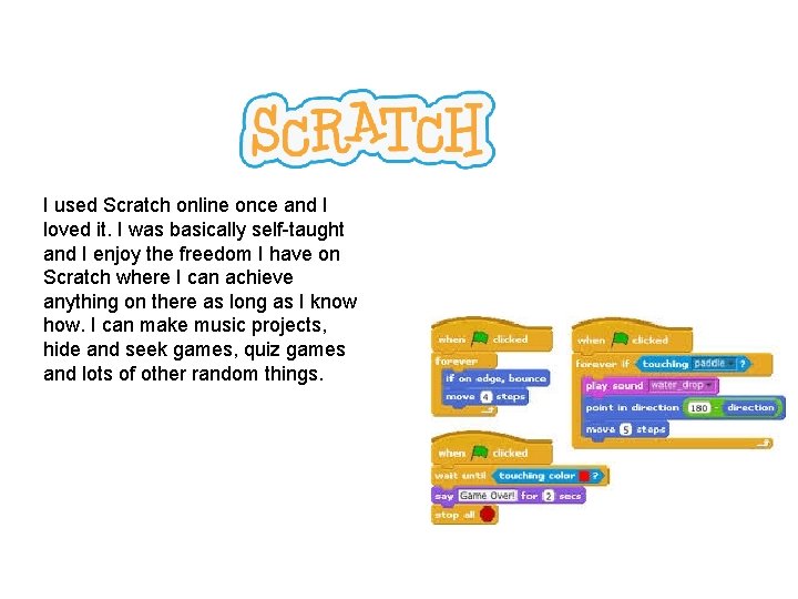 I used Scratch online once and I loved it. I was basically self-taught and