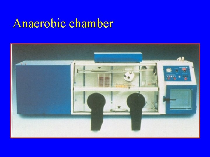 Anaerobic chamber 