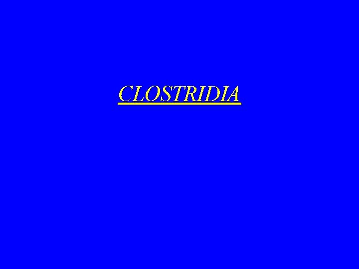 CLOSTRIDIA 