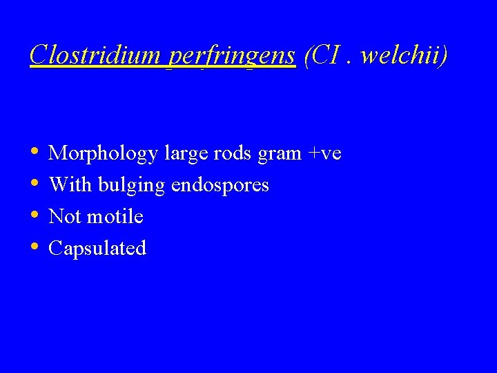 Clostridium perfringens (CI. welchii) • • Morphology large rods gram +ve With bulging endospores