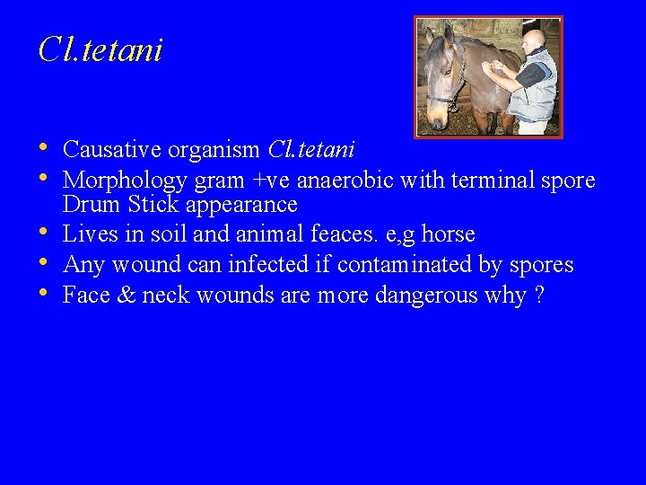 Cl. tetani • Causative organism Cl. tetani • Morphology gram +ve anaerobic with terminal