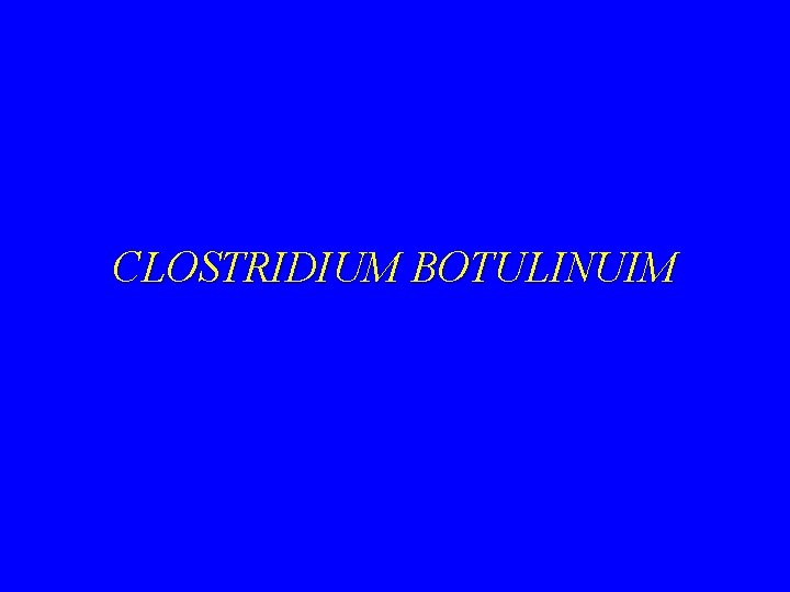 CLOSTRIDIUM BOTULINUIM 