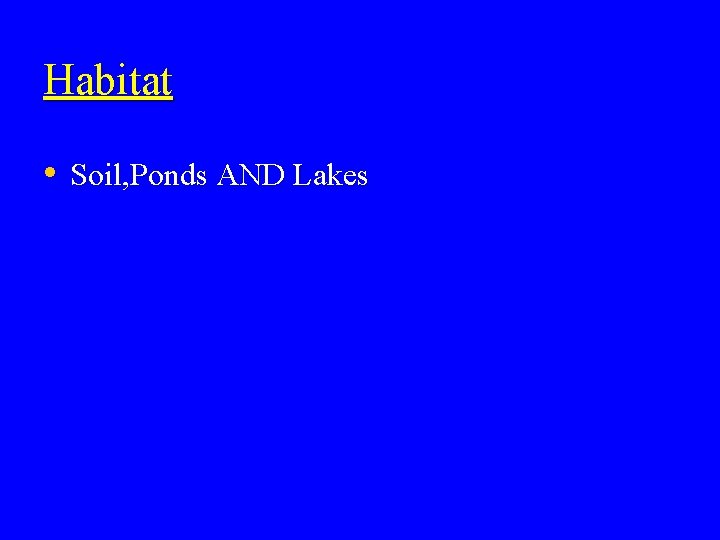Habitat • Soil, Ponds AND Lakes 