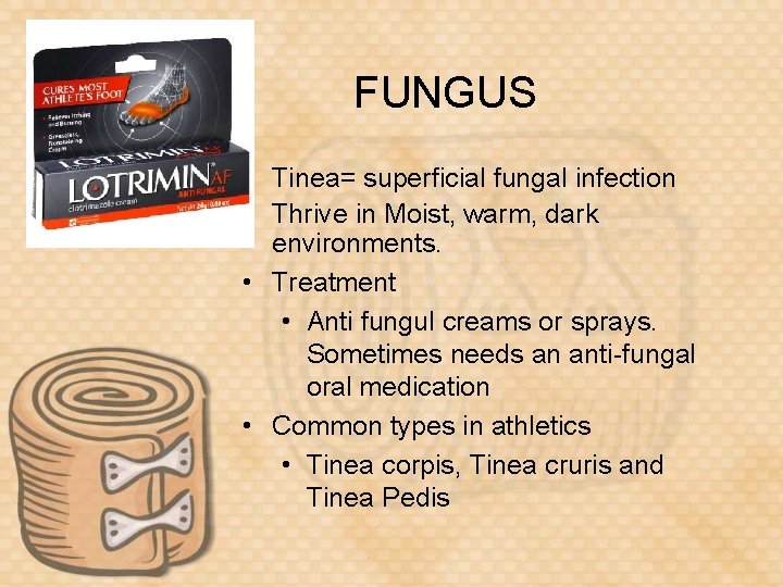 FUNGUS • Tinea= superficial fungal infection • Thrive in Moist, warm, dark environments. •