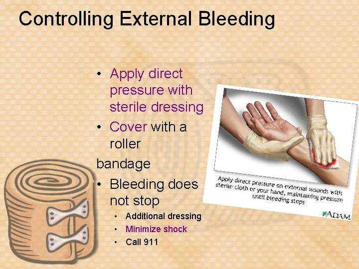 Controlling External Bleeding • Apply direct pressure with sterile dressing • Cover with a