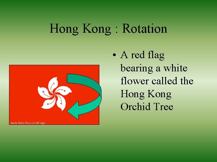 Hong Kong : Rotation • A red flag bearing a white flower called the