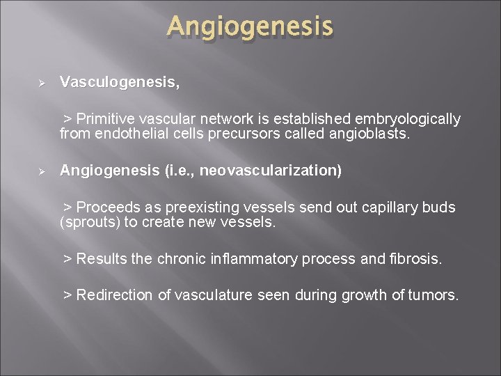 Angiogenesis Ø Vasculogenesis, > Primitive vascular network is established embryologically from endothelial cells precursors