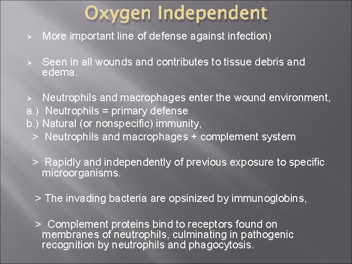 Oxygen Independent Ø More important line of defense against infection) Ø Seen in all