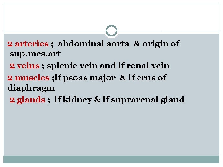 2 arteries ; abdominal aorta & origin of sup. mes. art 2 veins ;