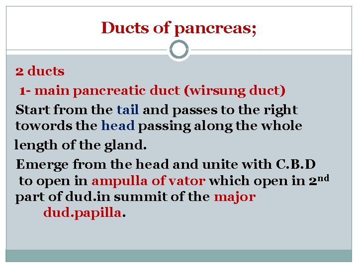 Ducts of pancreas; 2 ducts 1 - main pancreatic duct (wirsung duct) Start from