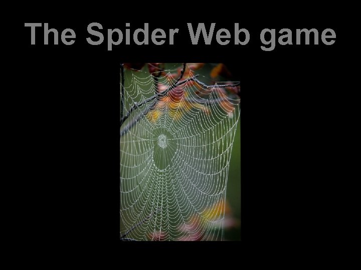 The Spider Web game 