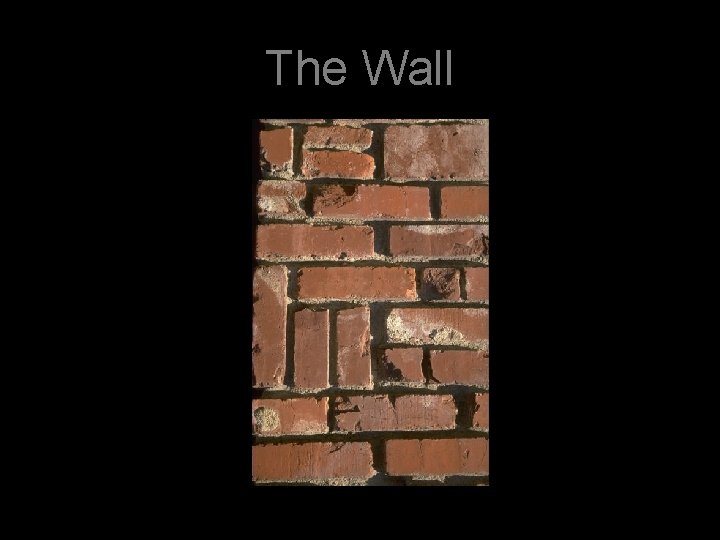 The Wall 