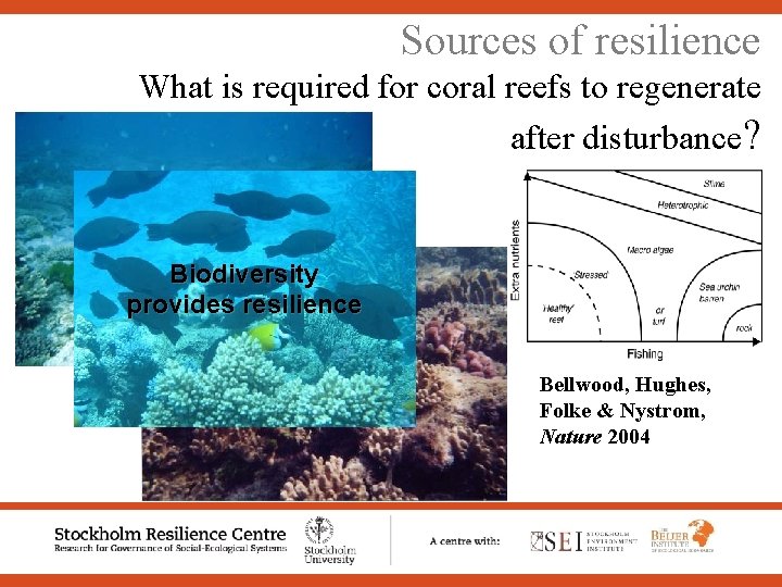 Sources of resilience What is required for coral reefs to regenerate after disturbance? Biodiversity