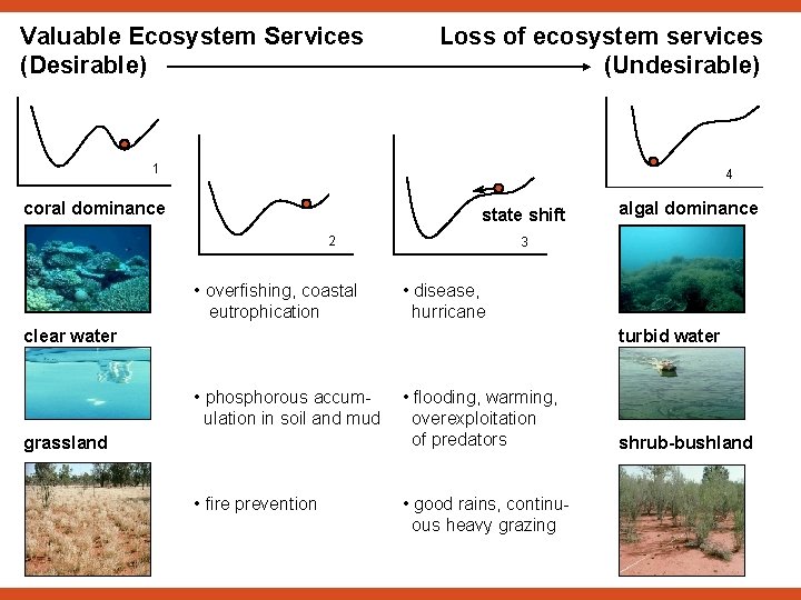 Valuable Ecosystem Services (Desirable) Loss of ecosystem services (Undesirable) 1 4 coral dominance state