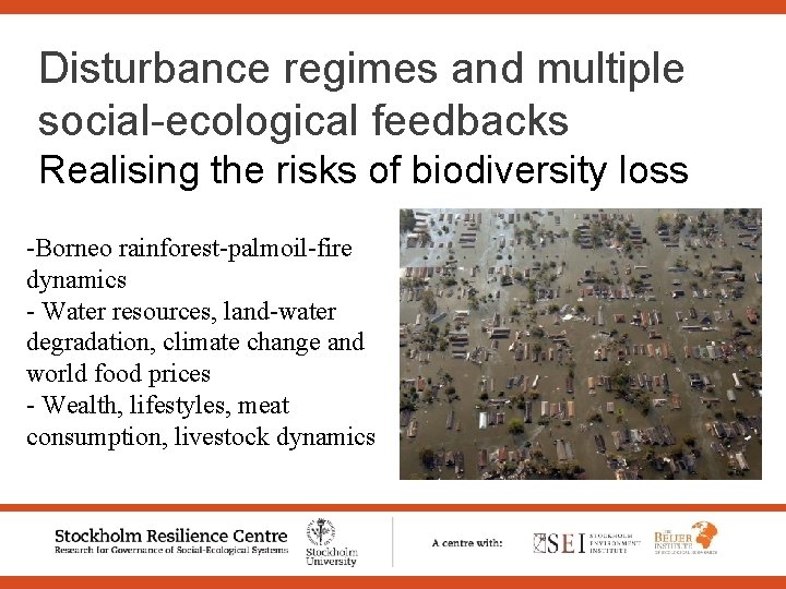 Disturbance regimes and multiple social-ecological feedbacks Realising the risks of biodiversity loss -Borneo rainforest-palmoil-fire