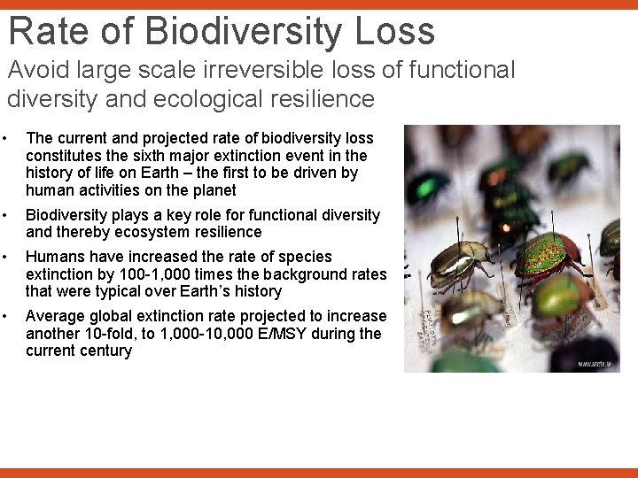 Rate of Biodiversity Loss Avoid large scale irreversible loss of functional diversity and ecological