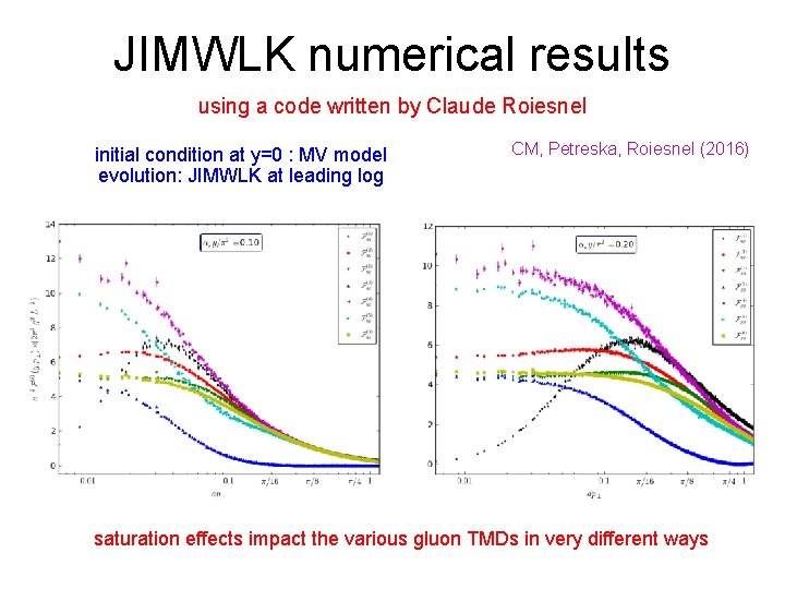 JIMWLK numerical results using a code written by Claude Roiesnel initial condition at y=0