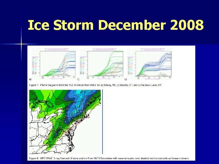 Ice Storm December 2008 