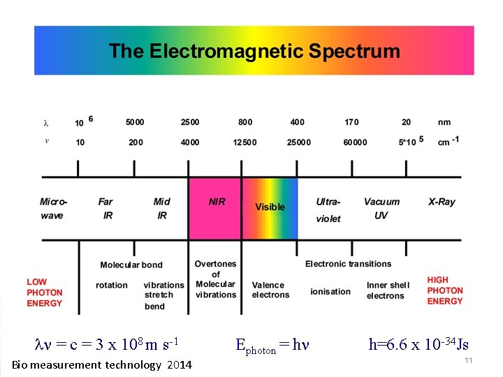  = c = 3 x 108 m s-1 Bio measurement technology 2014 Ephoton